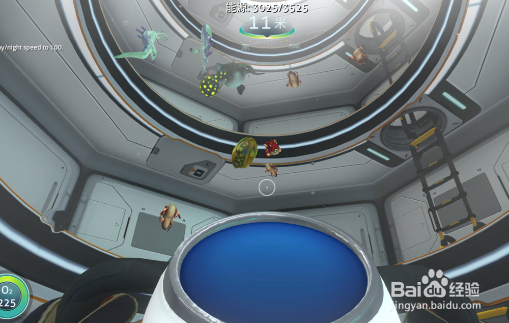 深海迷航怎么孵蛋