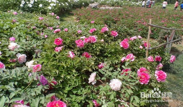 郑州旅游攻略(一)