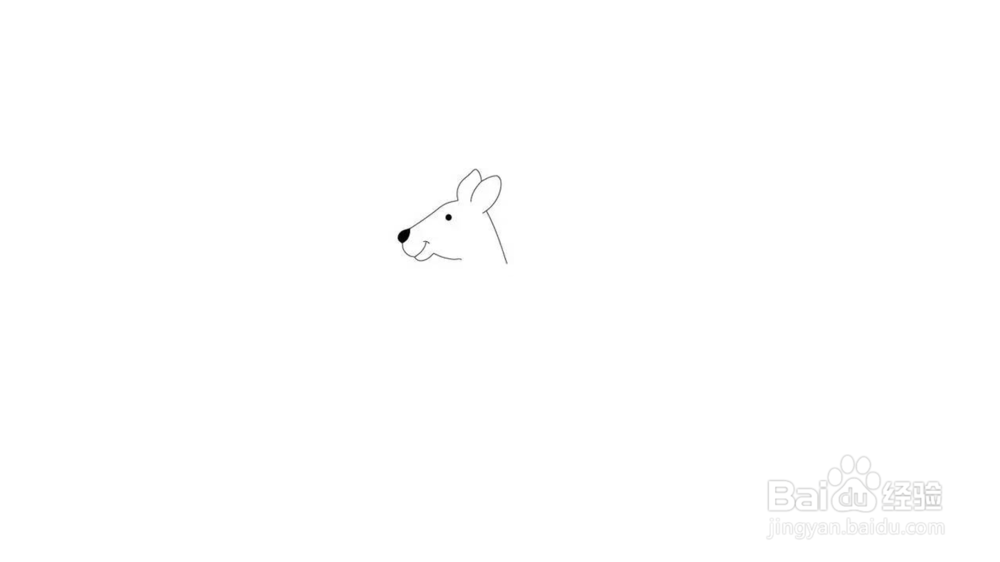 袋鼠简笔画教程