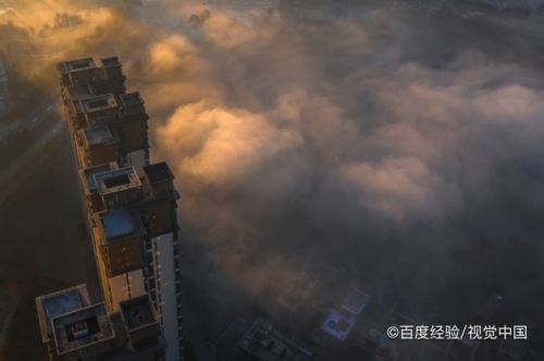 怎么查明天有没有雾