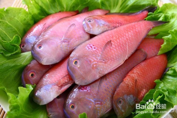 颠覆传统美味定义，盘点全球10大重口味美食