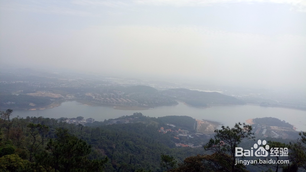 周末徒登芙蓉山