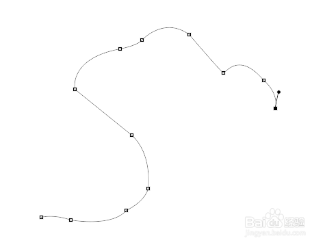银杏树叶用PS怎么画?
