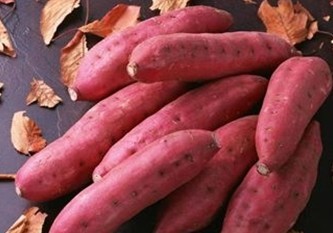 冬天怎么减肥最快_红薯减肥法