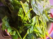 【2011年菜展】菠菜鸡蛋素水饺