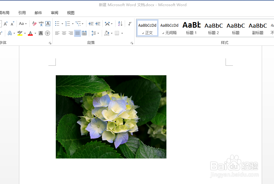 word如何在插入图片,以及在图片周围打字