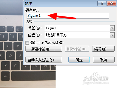 Word中插入图片设置图片下标题怎么做