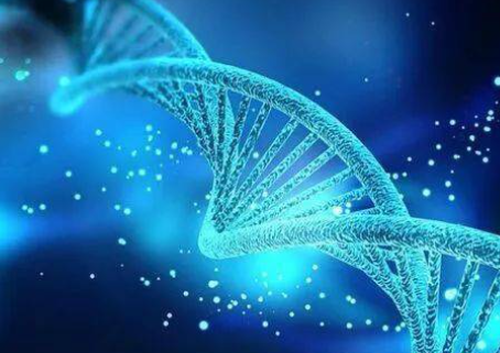 高中生物资源库适合预习吗资源库这本书应该如何好好的利用