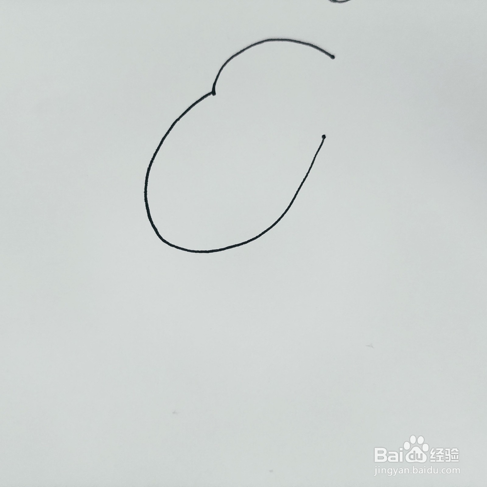 怎么来画一只卡通河马简笔画？