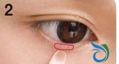 打造桃花眼花猫眼妆全攻略