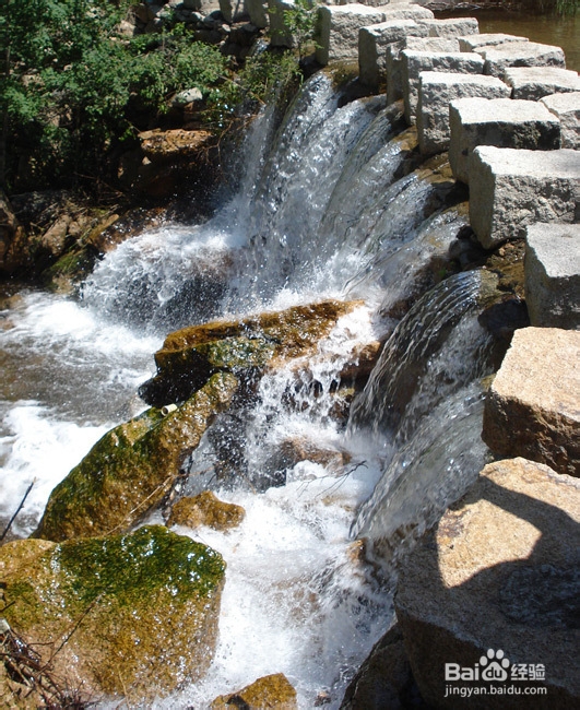 雾灵山风景区游玩攻略