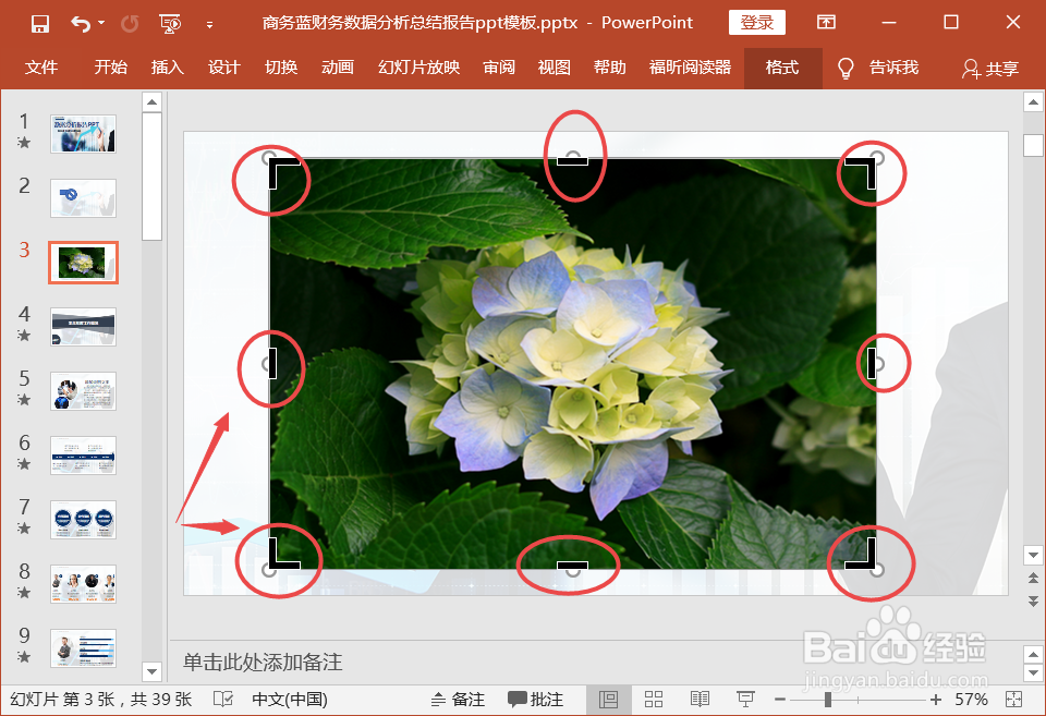 ppt中怎么裁剪图片