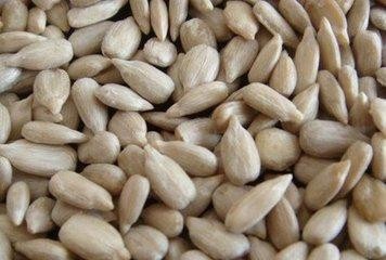 为什么一嗑瓜子就停不下来怎么戒掉嗑瓜子