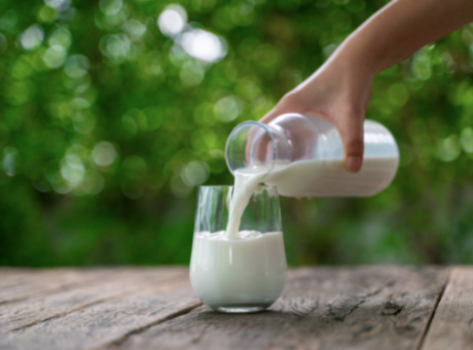 milk复数指的是什么
