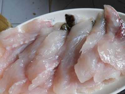 清江鱼刺多不多