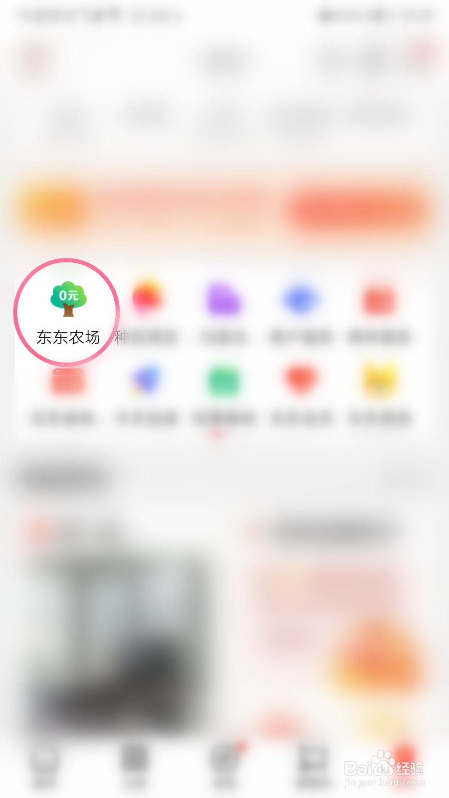 京东农场如何每日签到