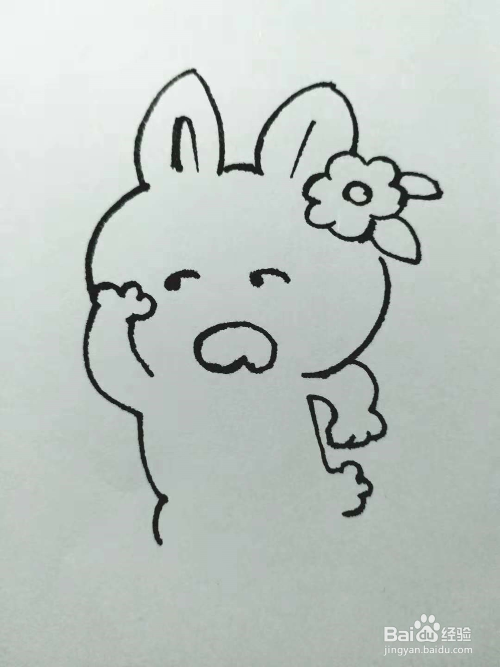 卡通兔的简笔画法《七》