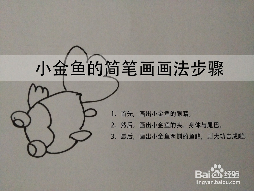 小金鱼的简笔画画法步骤