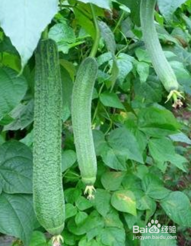 去除眼角细纹小窍门？