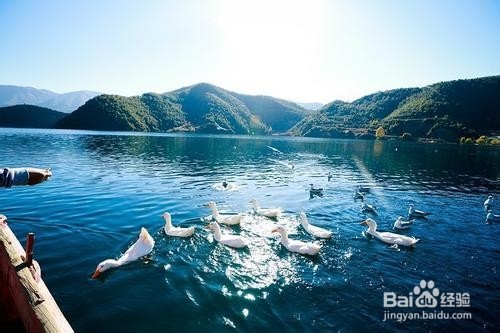 丽江 泸沽湖旅游攻略