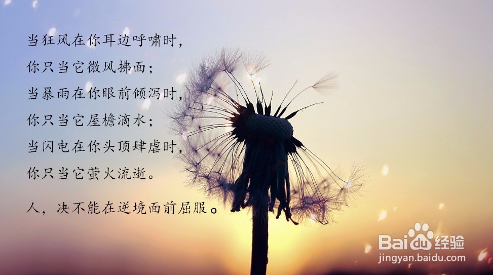 画图工具怎么改字