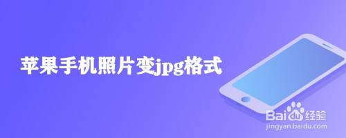 苹果手机照片变jpg格式