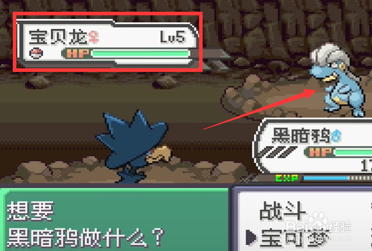 究极绿宝石5甲壳龙在哪里获得