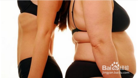 减肥，到底吃啥管用？别纠结了，营养师都吃它