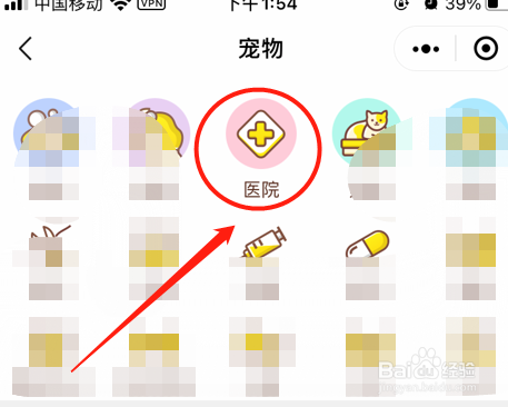 小狗耳朵里有黑褐色的东西怎么办