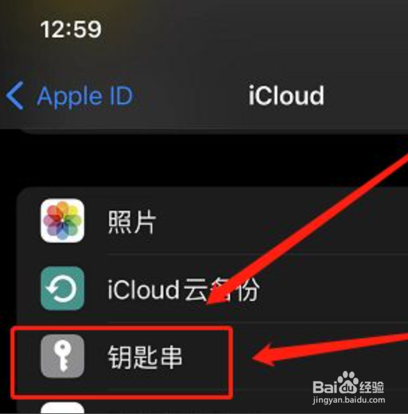 苹果手机怎么记住密码自动登录
