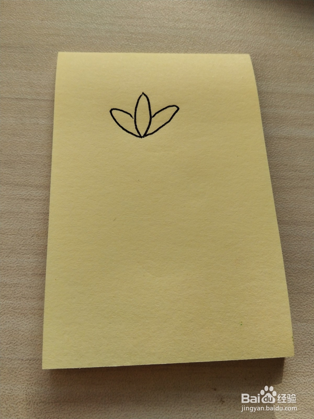 荷花的简笔画怎么画