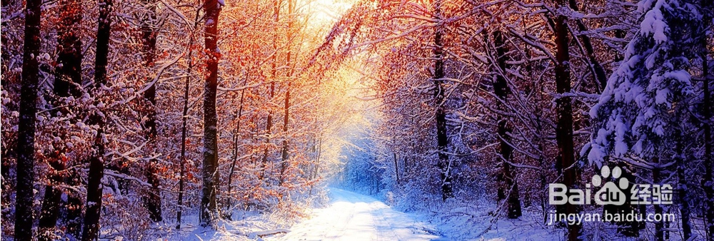 调查发现，从来不发朋友圈的，多半都是这类人