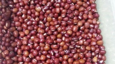 补气养生煮红豆怎么做