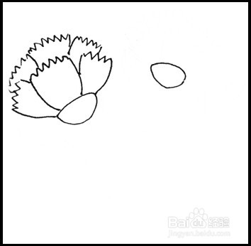 怎样画简笔画（花卉）：[10]康乃馨