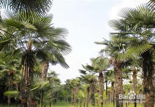 好床垫的四个标准