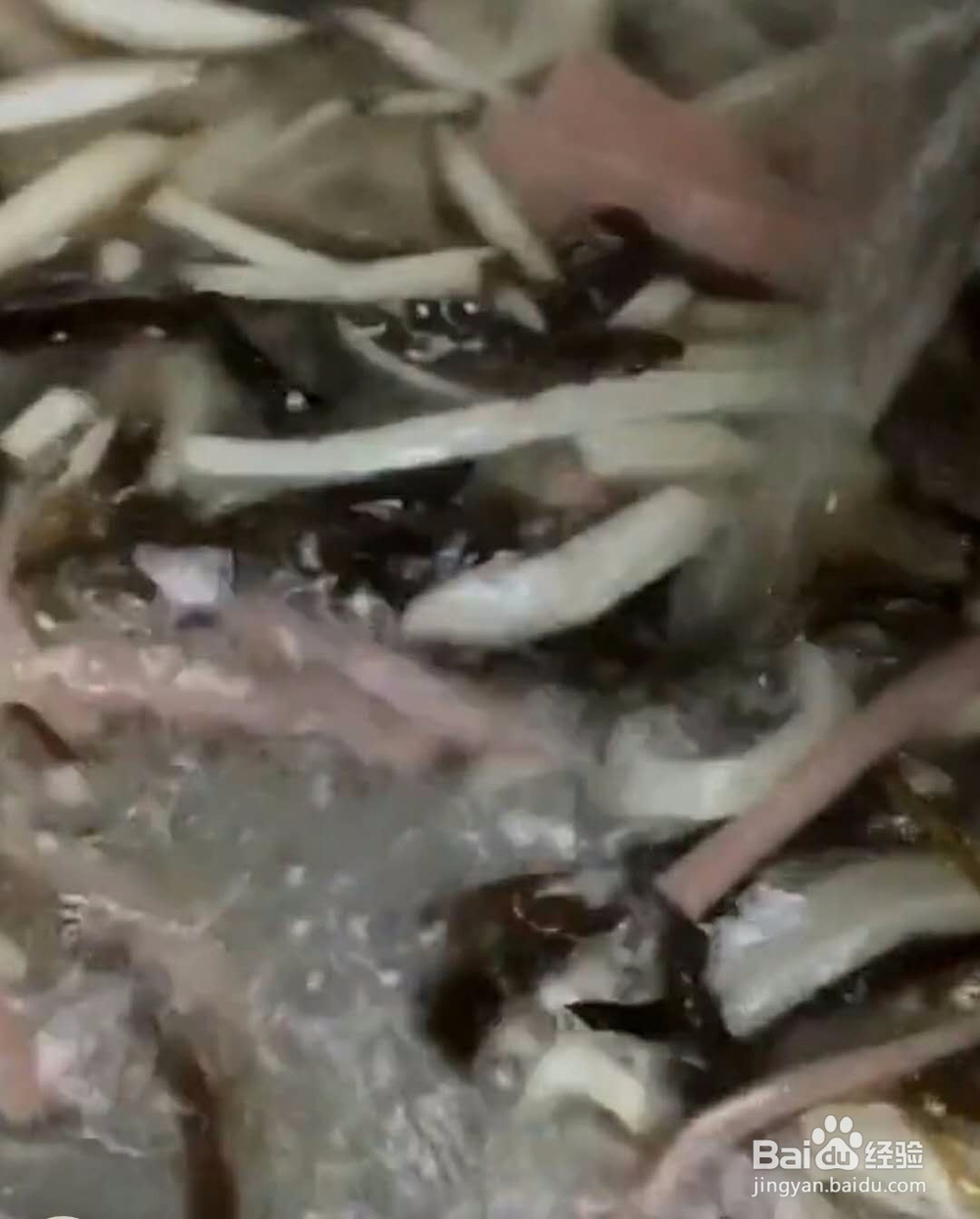 酸辣汤家庭做法