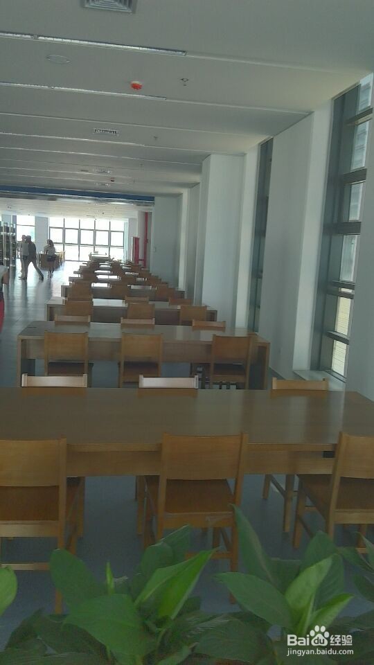 如何快速的走出失恋?