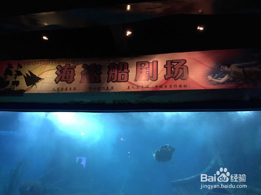 玩遍东湖海洋世界