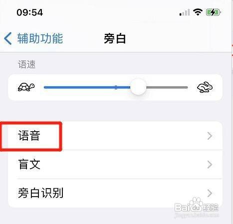 苹果手机在哪开启旁白音调变化功能