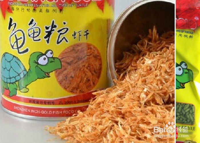 家庭养巴西龟的注意事项