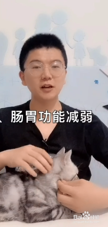 猫咪缺钙会怎样？