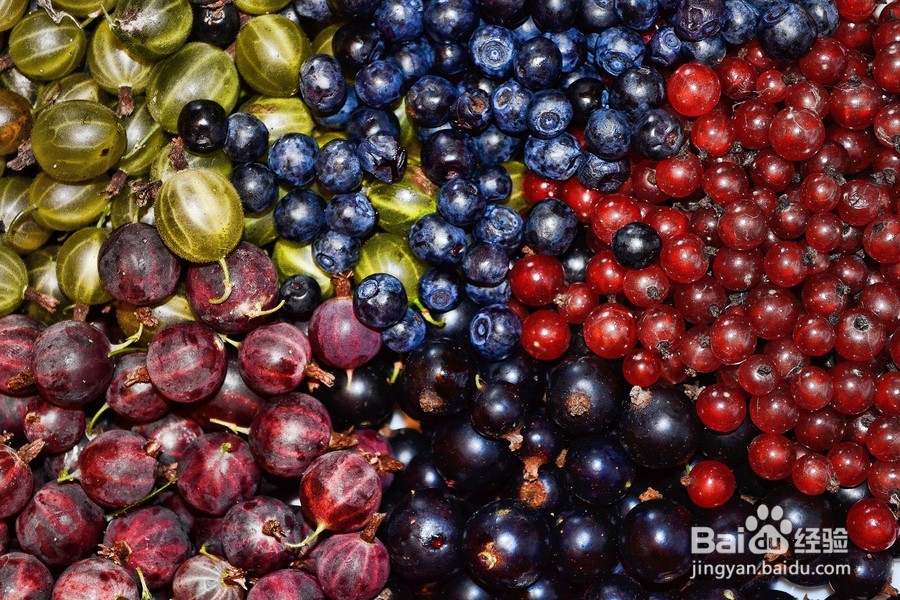 促进人体新陈代谢的几类食物