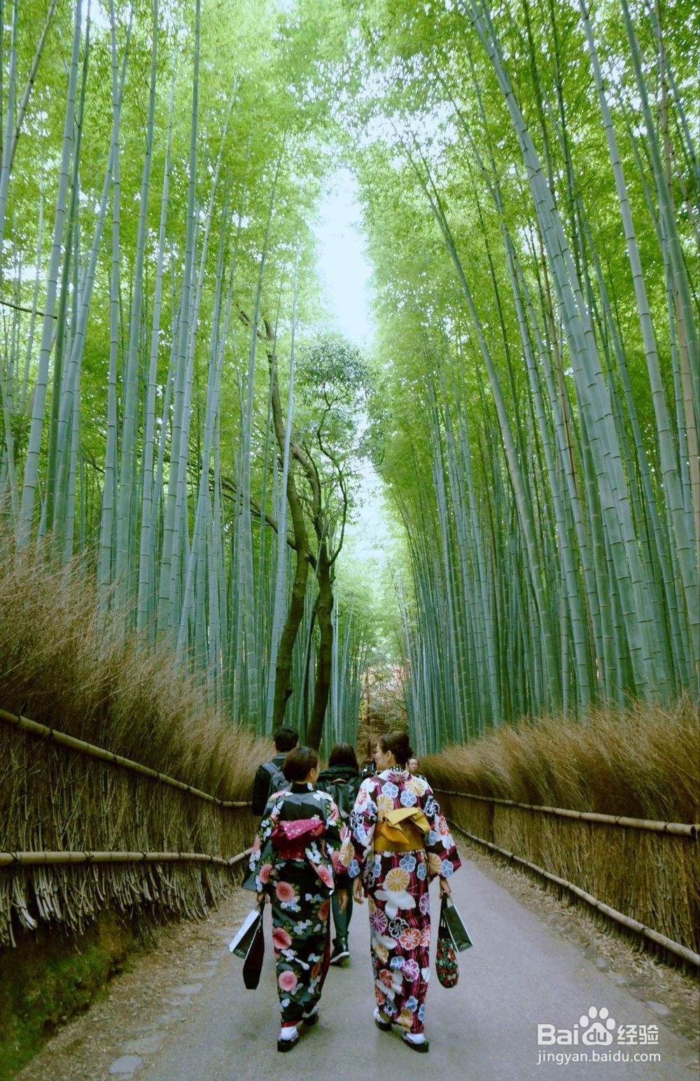 日本绝美旅游胜地12个景点推荐—治愈你失恋的心