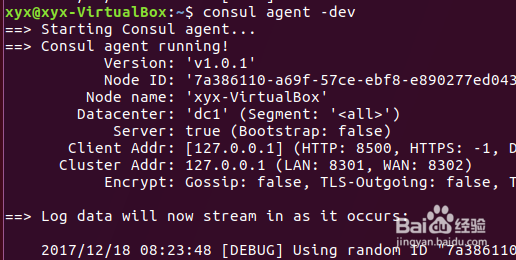 consul学习之consul运行代理_02