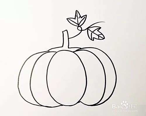 "南瓜"简笔画教程