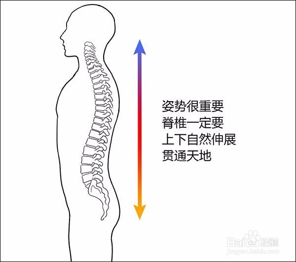 大漫健康-每天走一万步不如健康步走几百米。