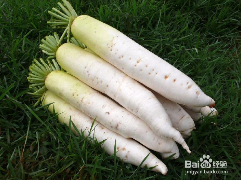 雾霾天气清理肺里雾霾吃什么菜