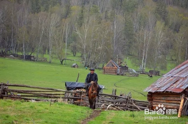喀纳斯旅游攻略