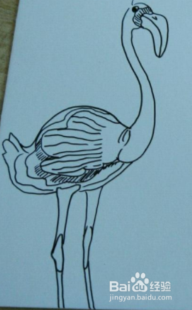 抽象的鸵鸟手绘明信片制作