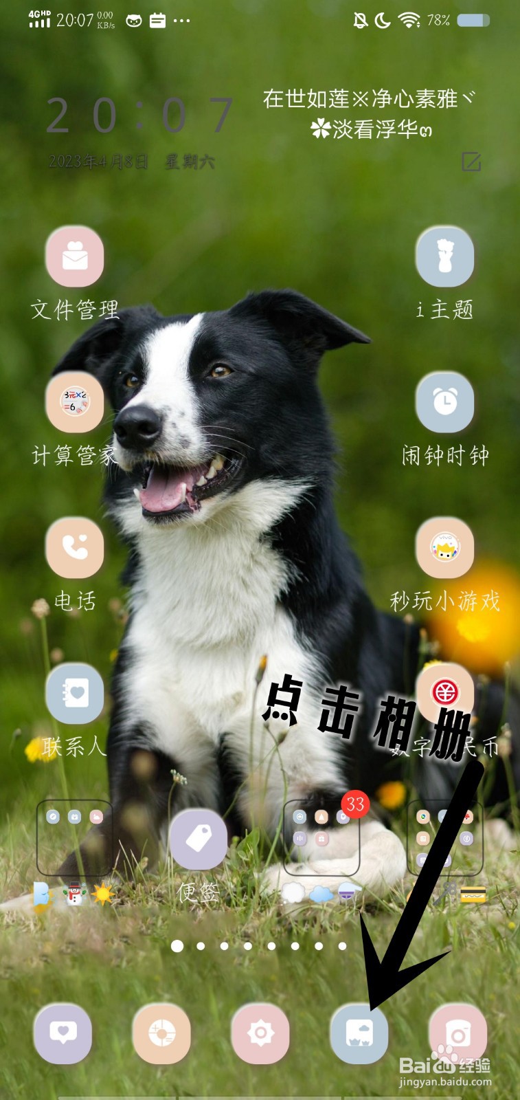 手机好看壁纸图片